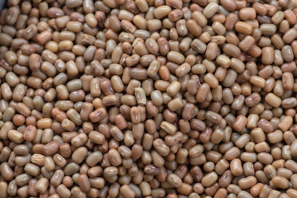 Punchi Mothey (500g)